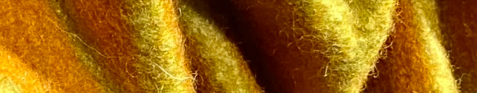 bild-teximus